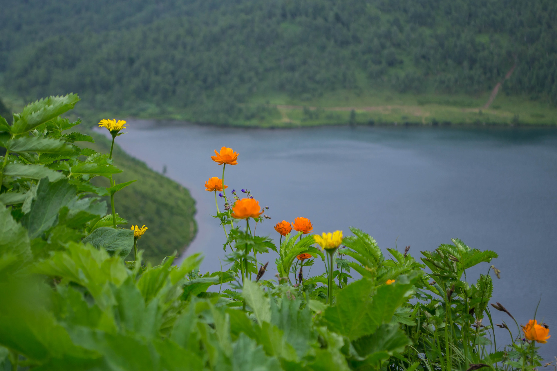 Ивановские озёра в Хакасии лето