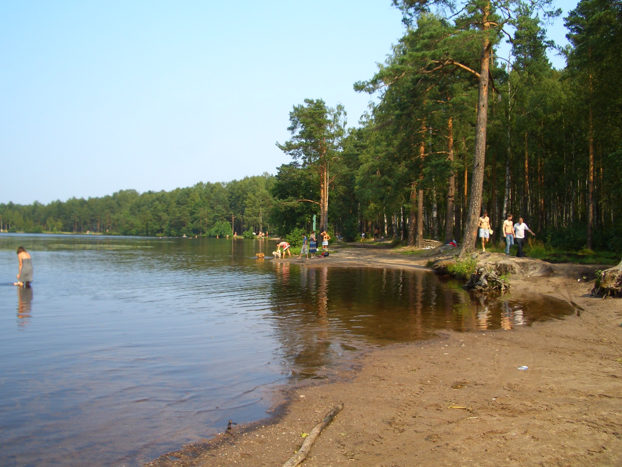 Ждановские озера во всеволожске