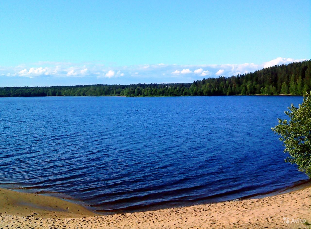 Озеро долгое Ильичево