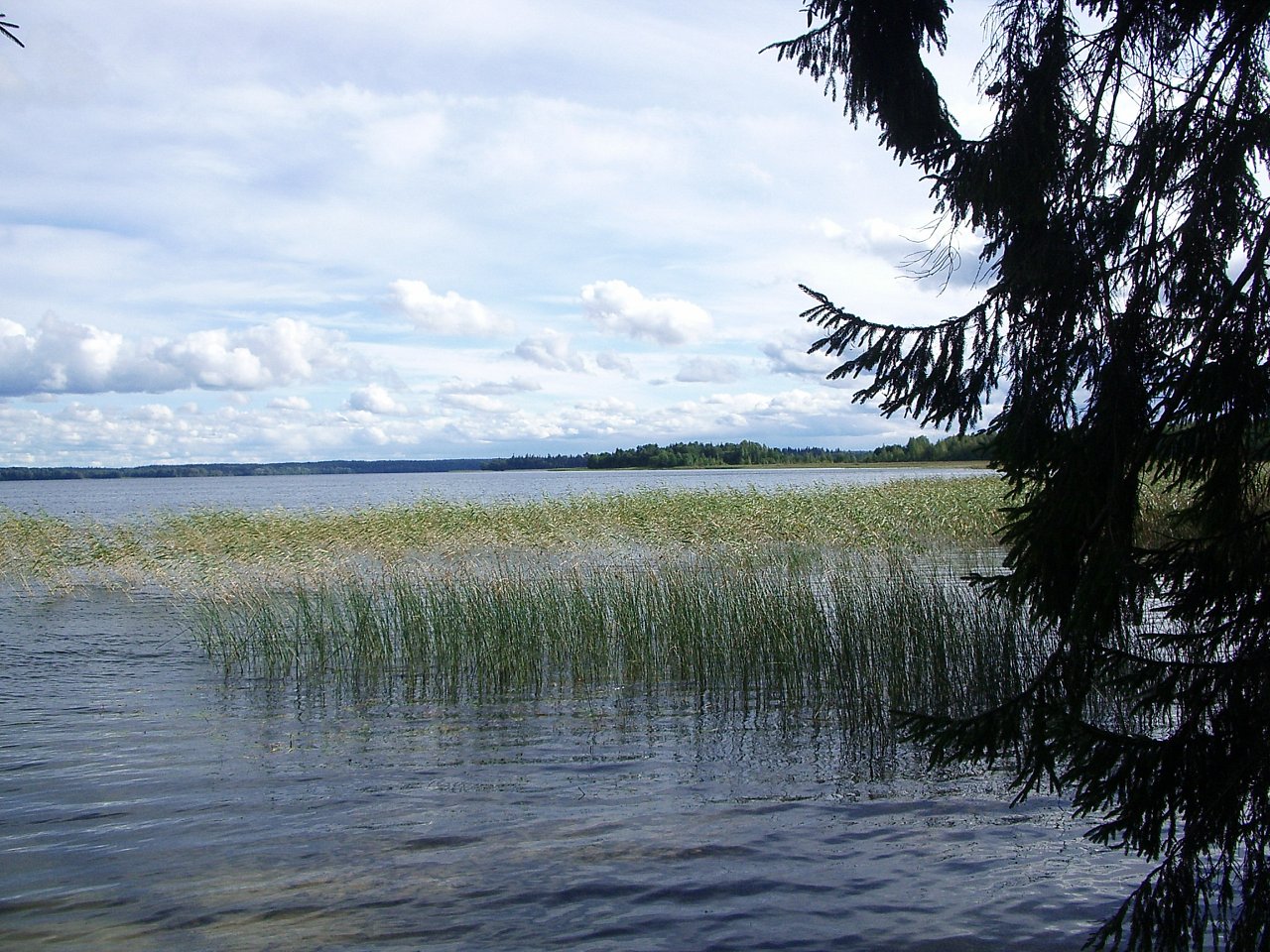 Озеро длинное название. Озеро Сухово Кемерово. Озеро длинное. Озеро узкое Свердловская область. Озеро узкое Псковская область.