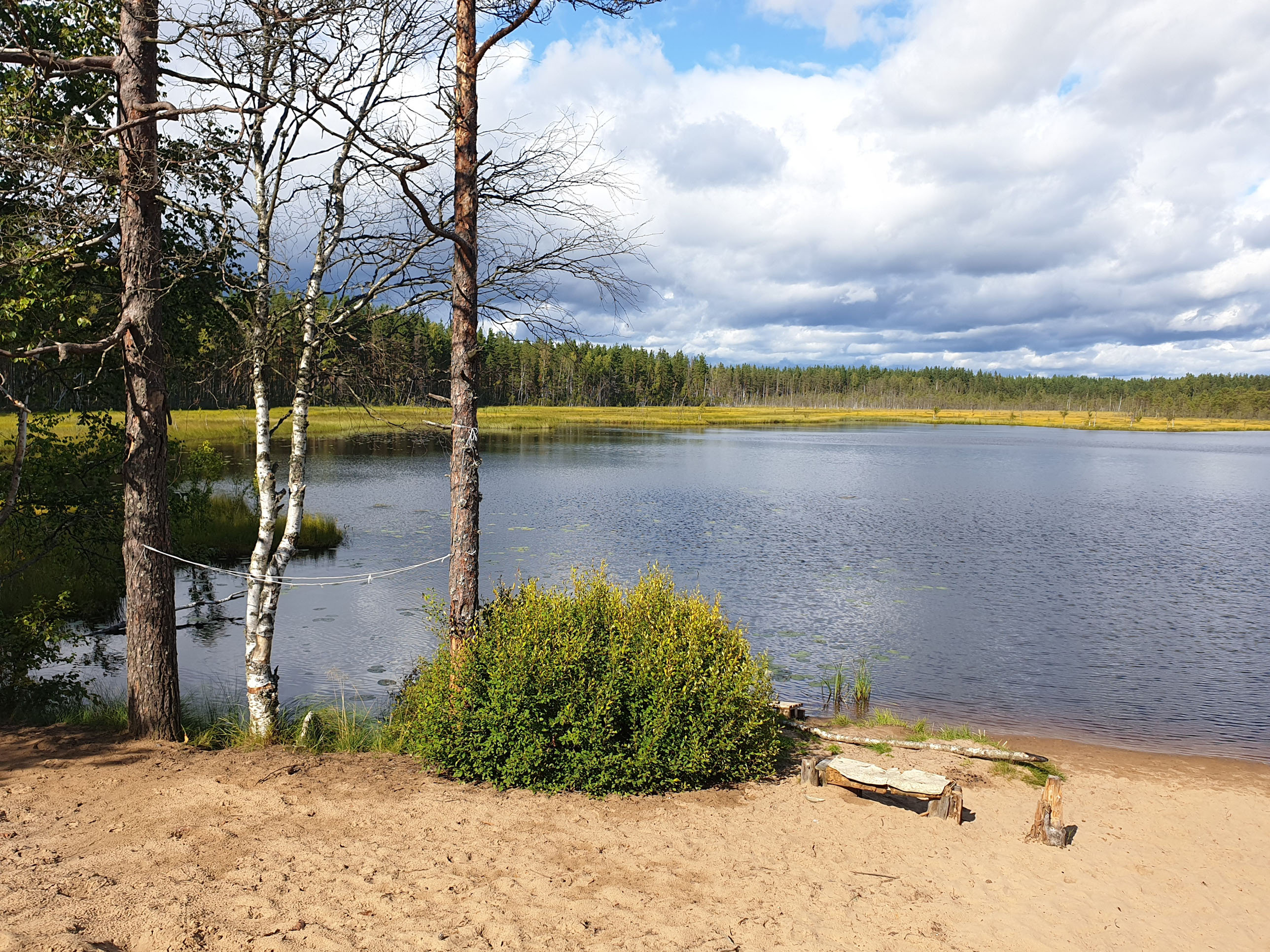 Озеро Линевское Выборгский район