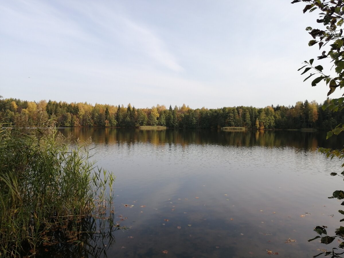 Озеро Ламна Южский район