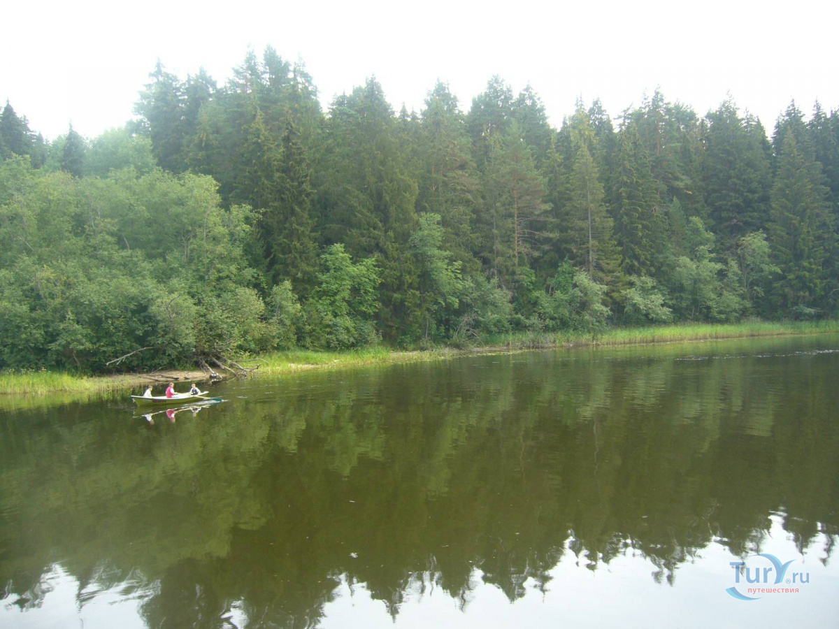 Озеро Коломинец Тверская область