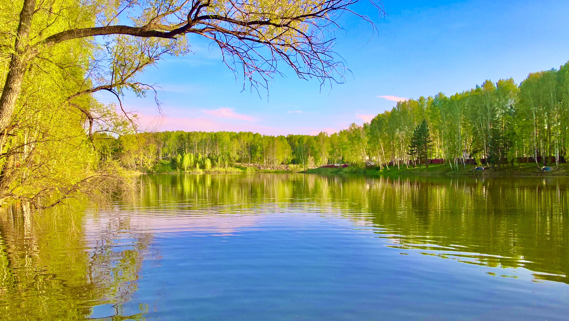 озеро серебряное псковская область гдовский район