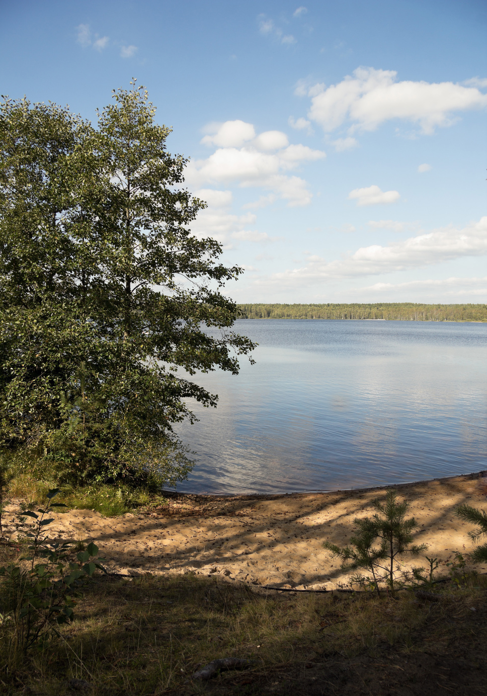 Большое Симагинское озеро Ленинградская