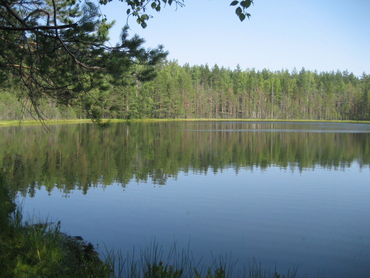Озеро Тенистое Ленинградская область