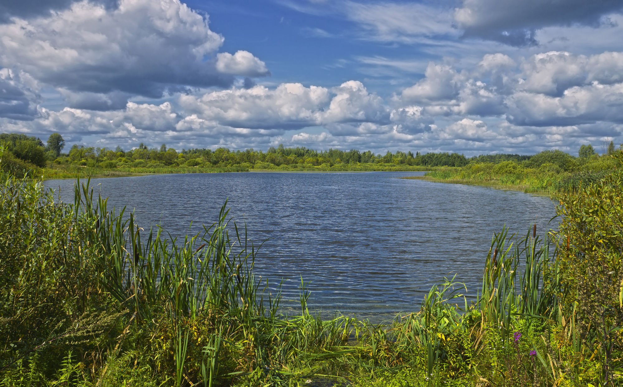 Озеро Вадозеро Ленинградская область