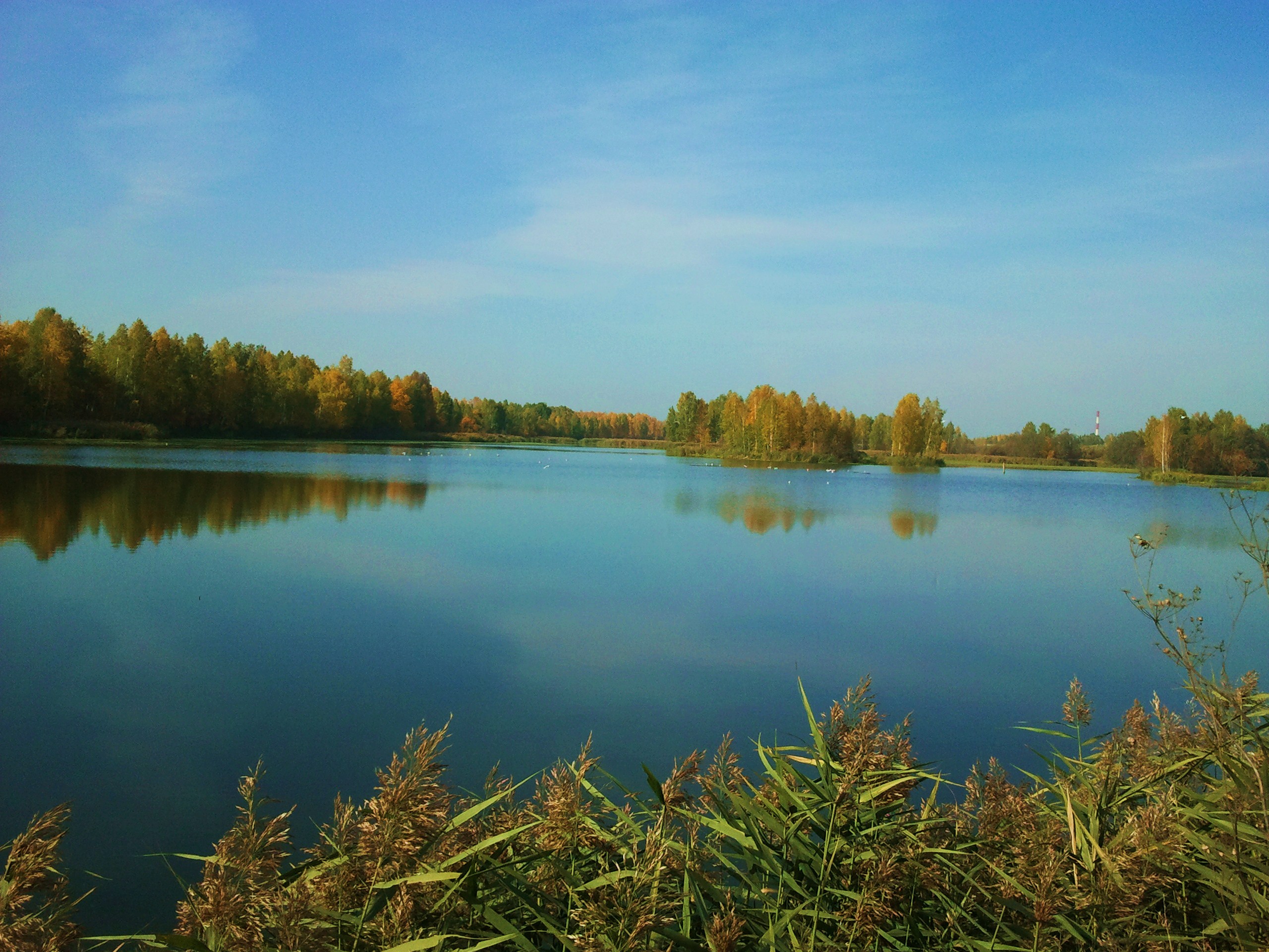 Озеро Рамза Тамбовская