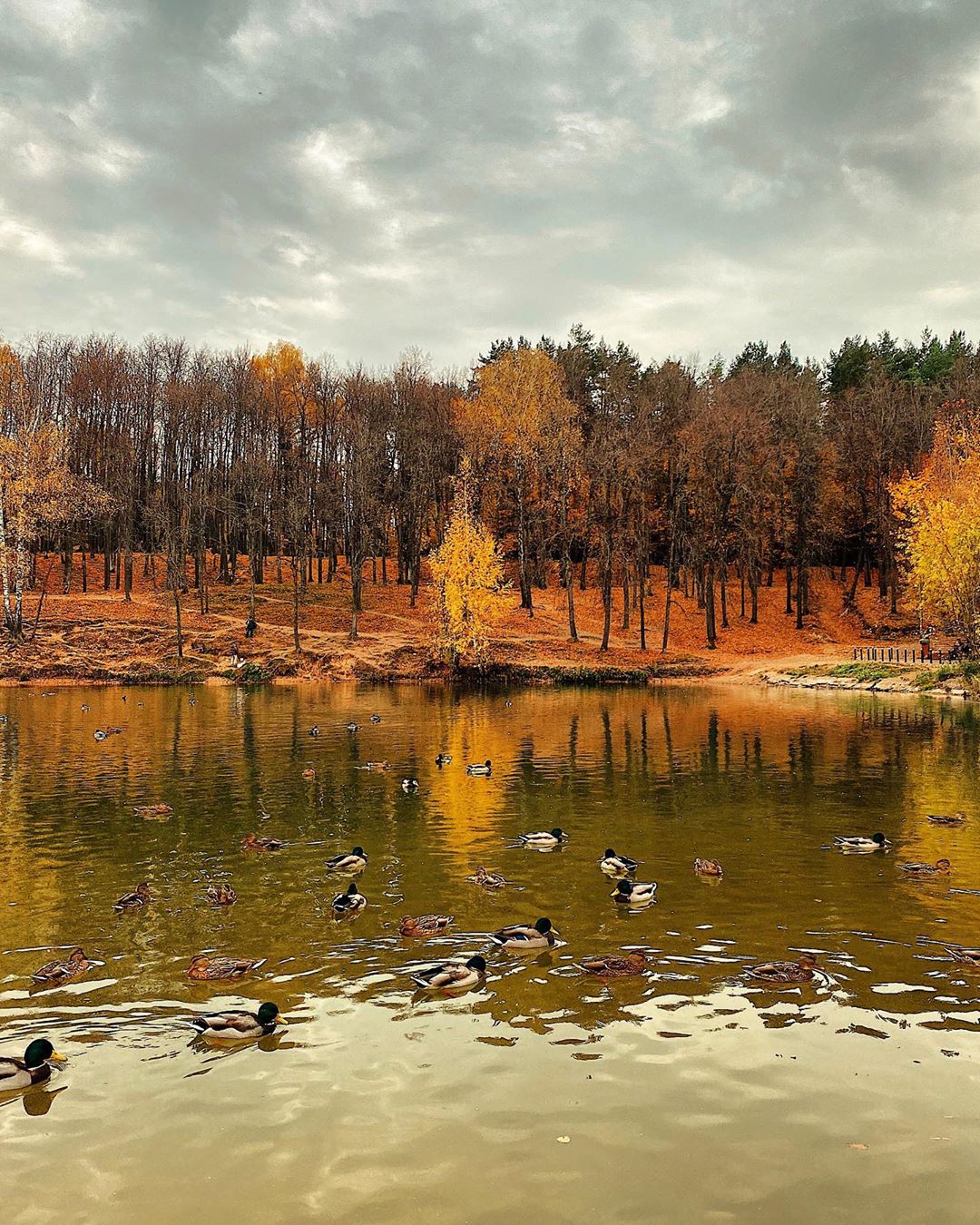 Озеро Комсомольское зимой парк