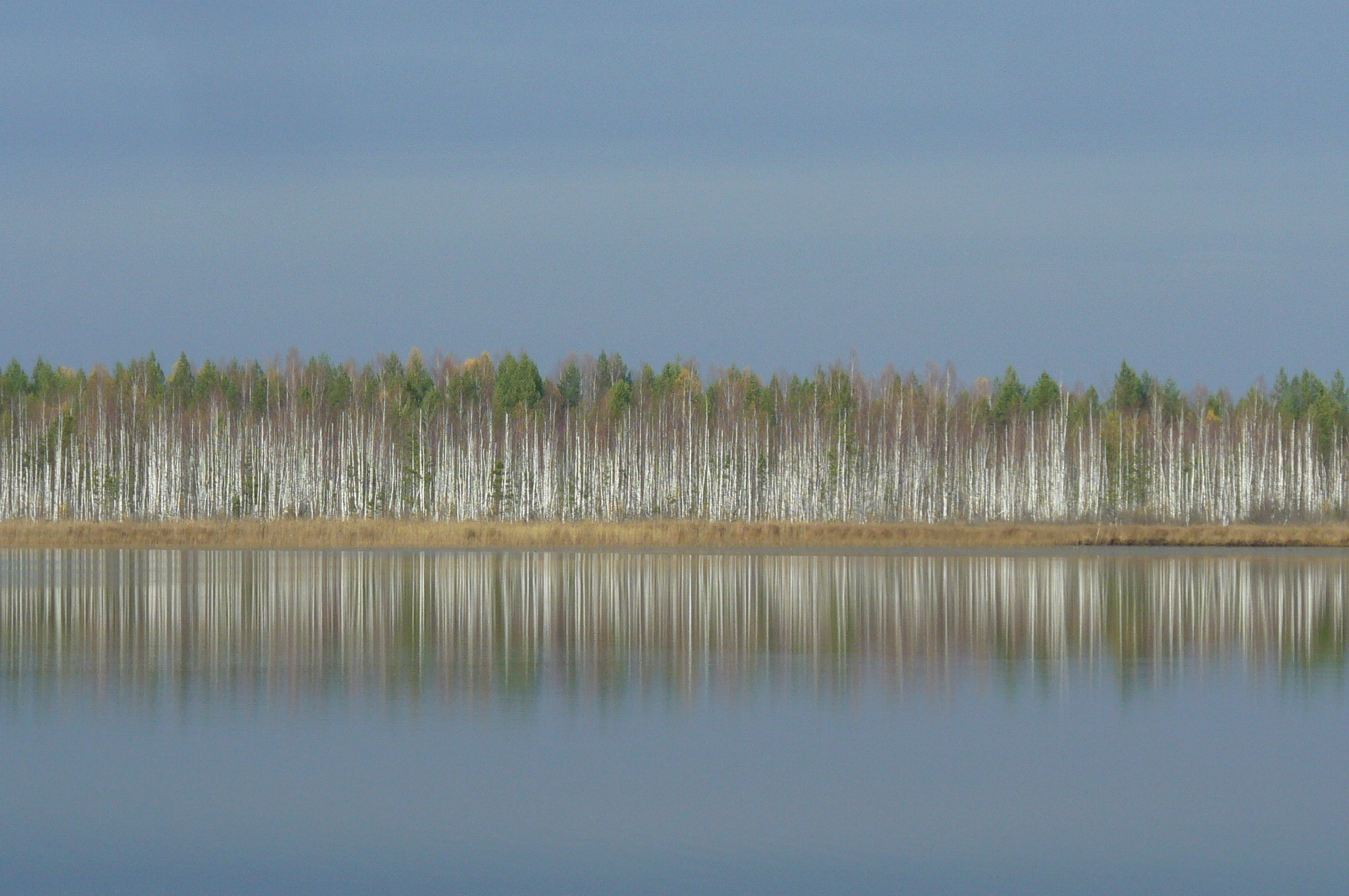 Черное озеро чувашия