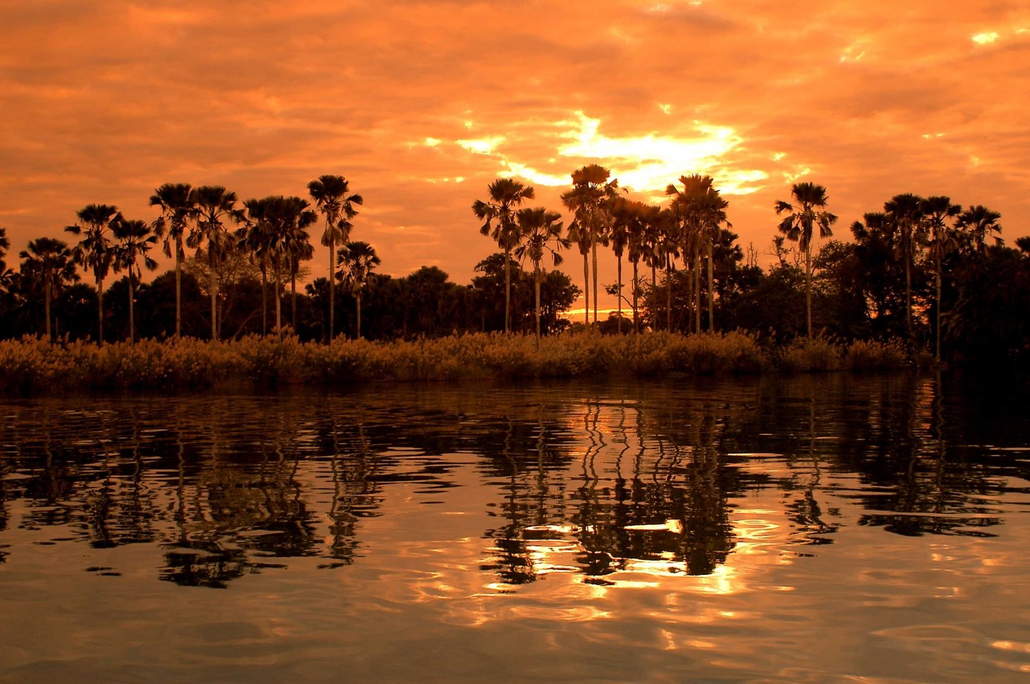 Национальный парк озеро Ньяса