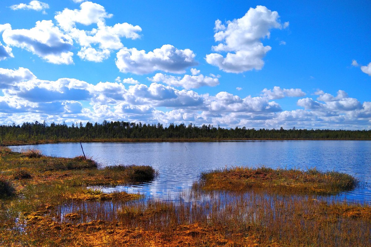 Вадское (Мордовское) озеро