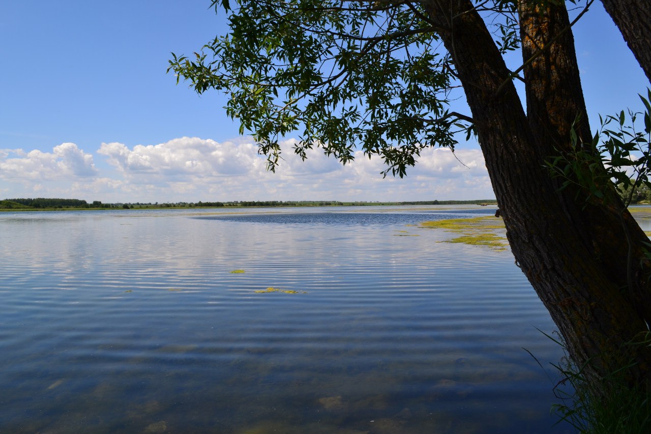 Озеро село Вад Нижегородская область