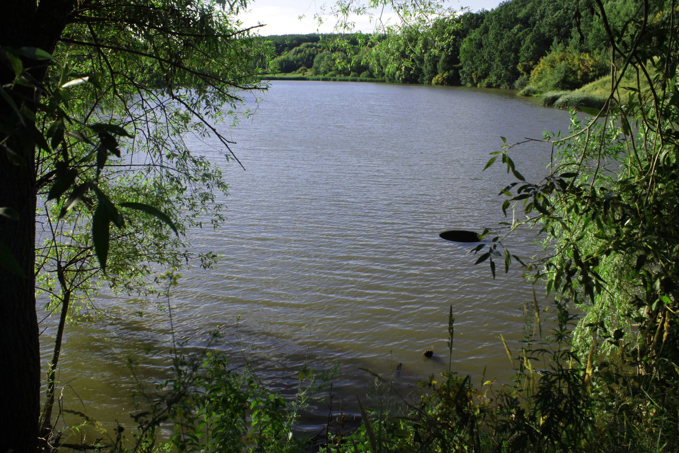 Озеро тахтарка в павловском районе воронежской области фото