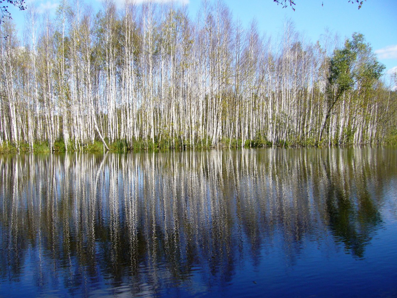 Озера воронежской области