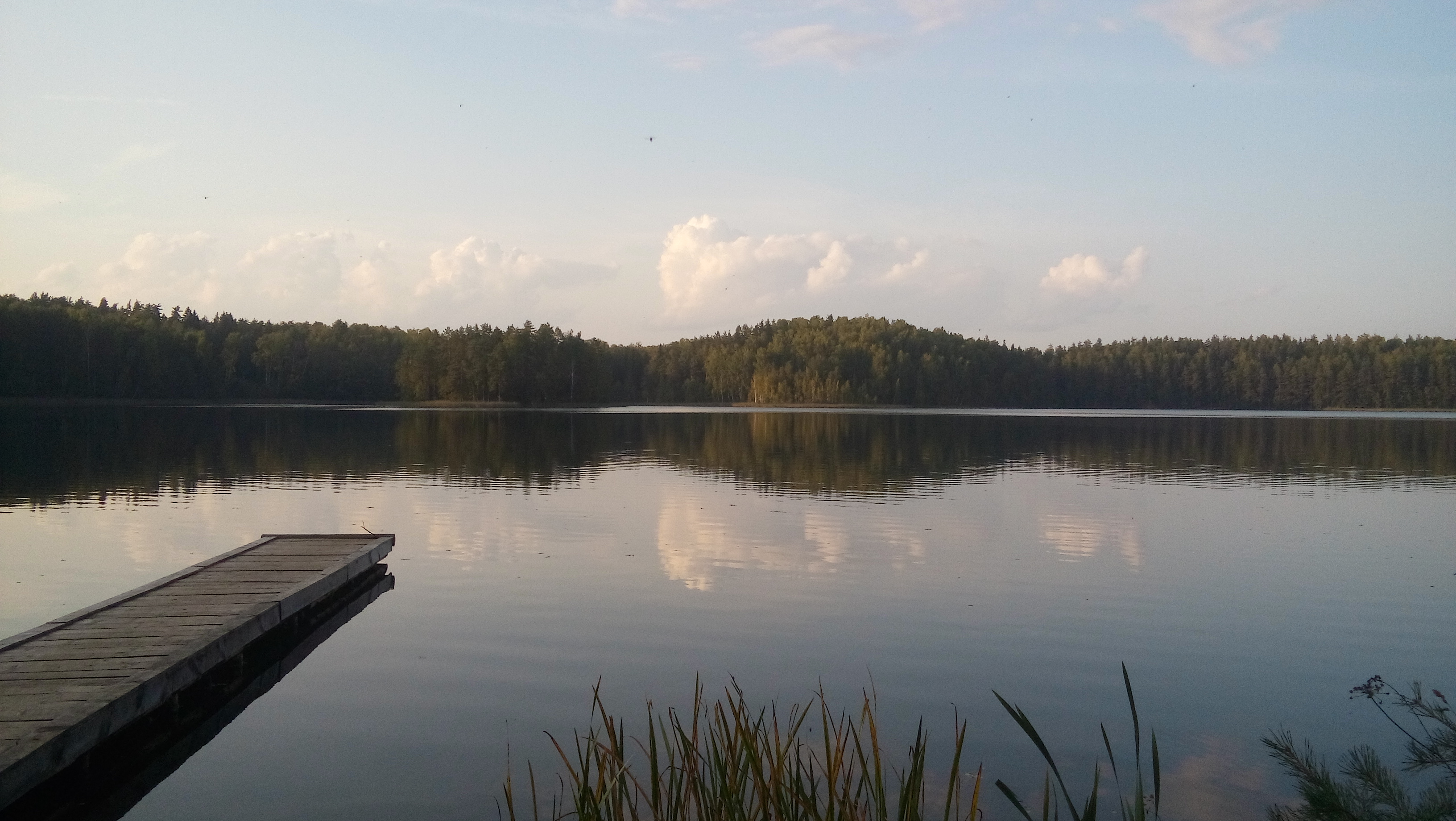 Озеро Чистик Смоленская