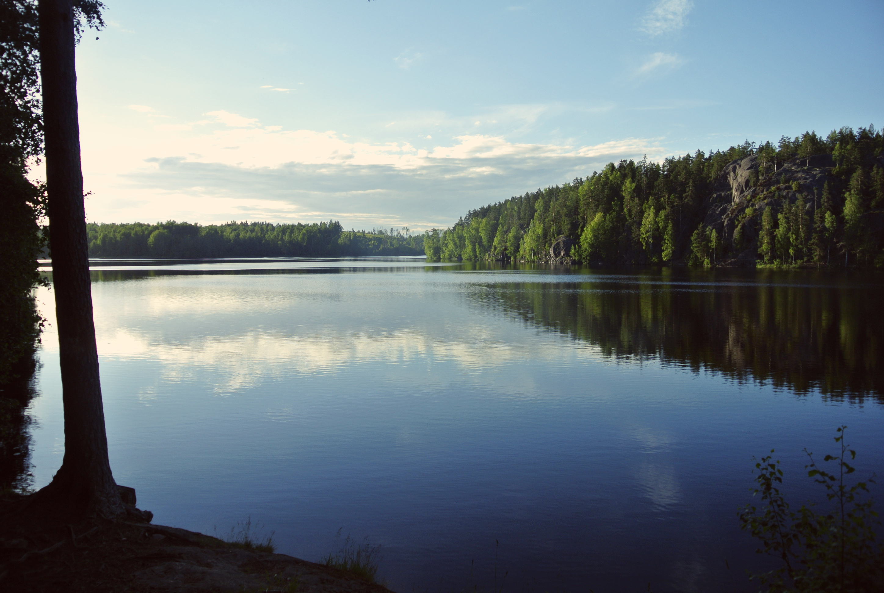 Полянское озеро Ленинградская область