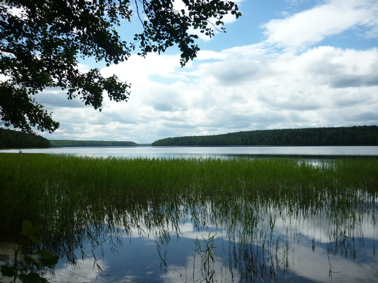 Бородаевское озеро Поляна