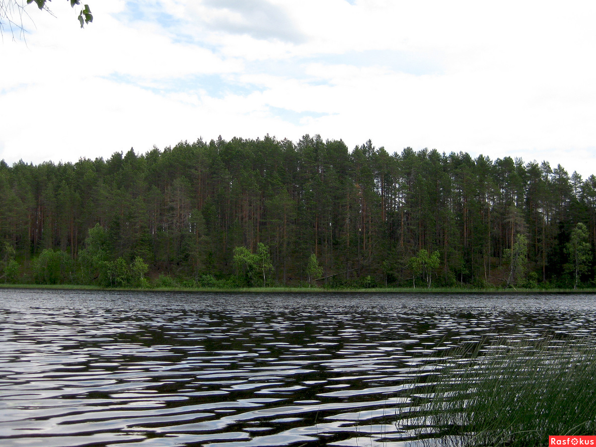 Озеро Полянское Волга Бор
