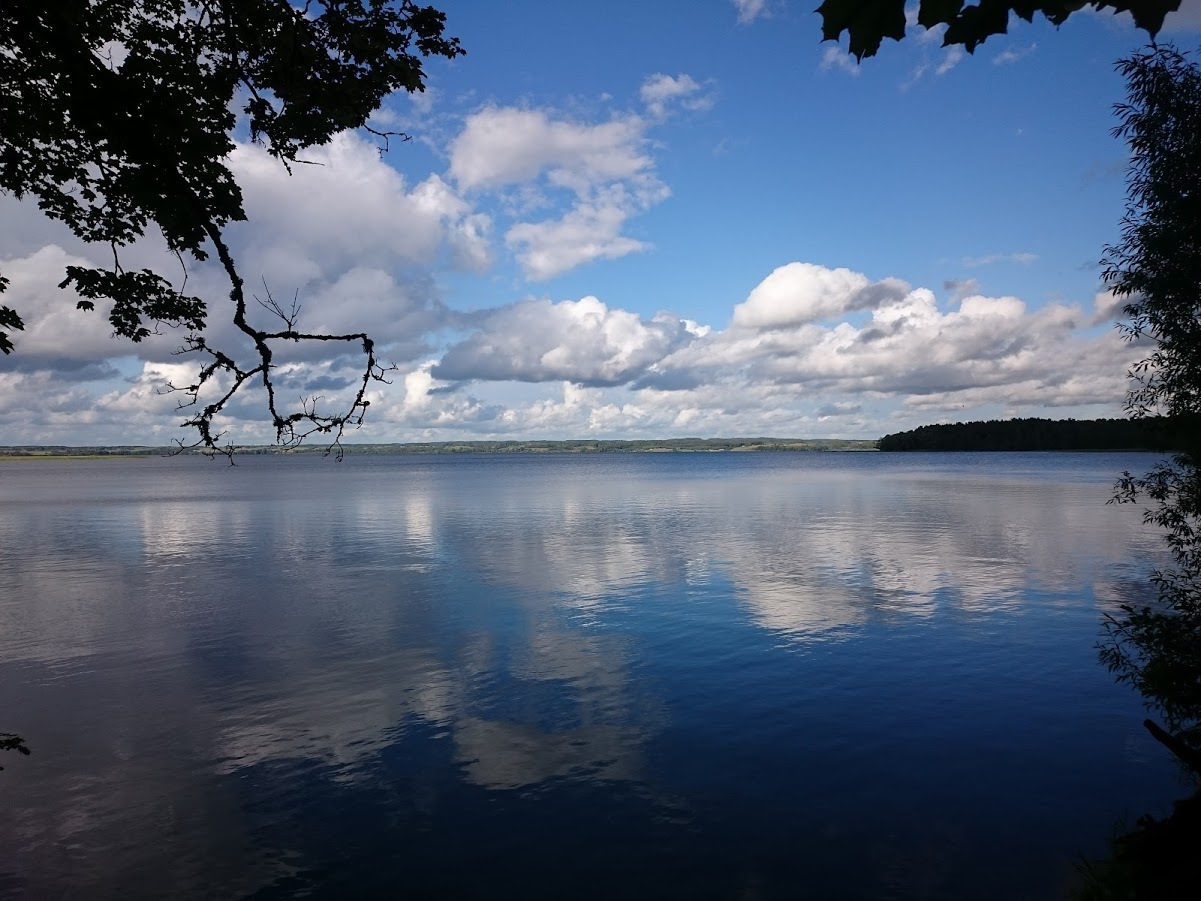 лесное озеро калининград