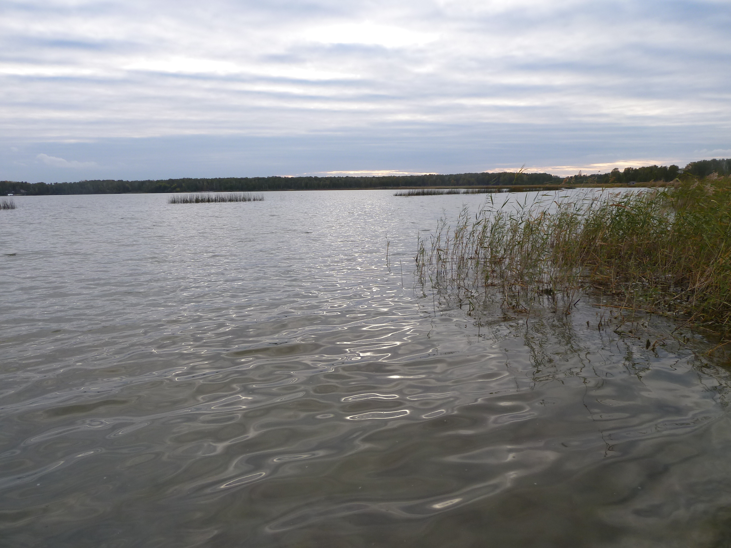 озеро большой шантропай челябинская область