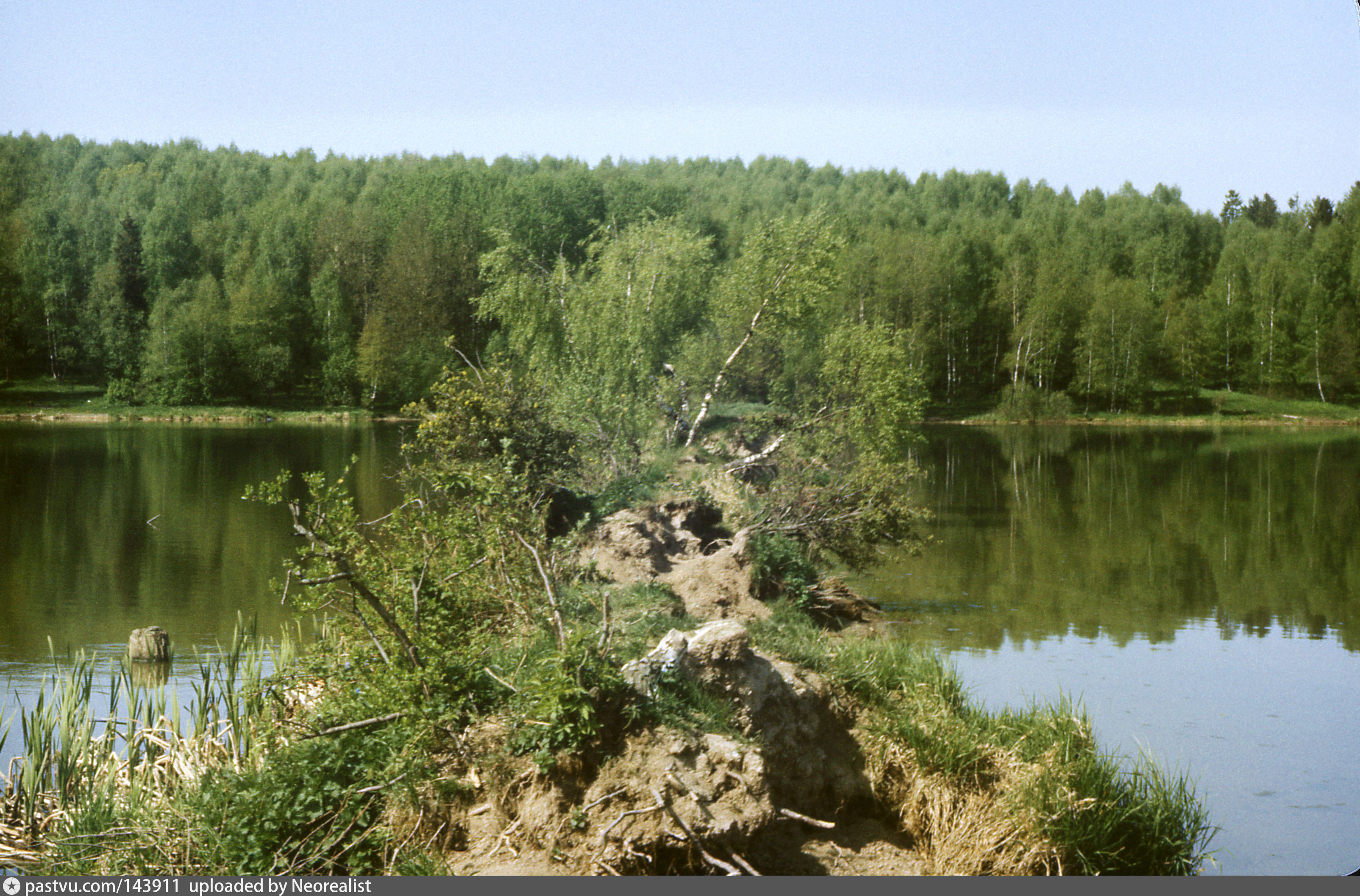 Озеро Торбеевское рыжики