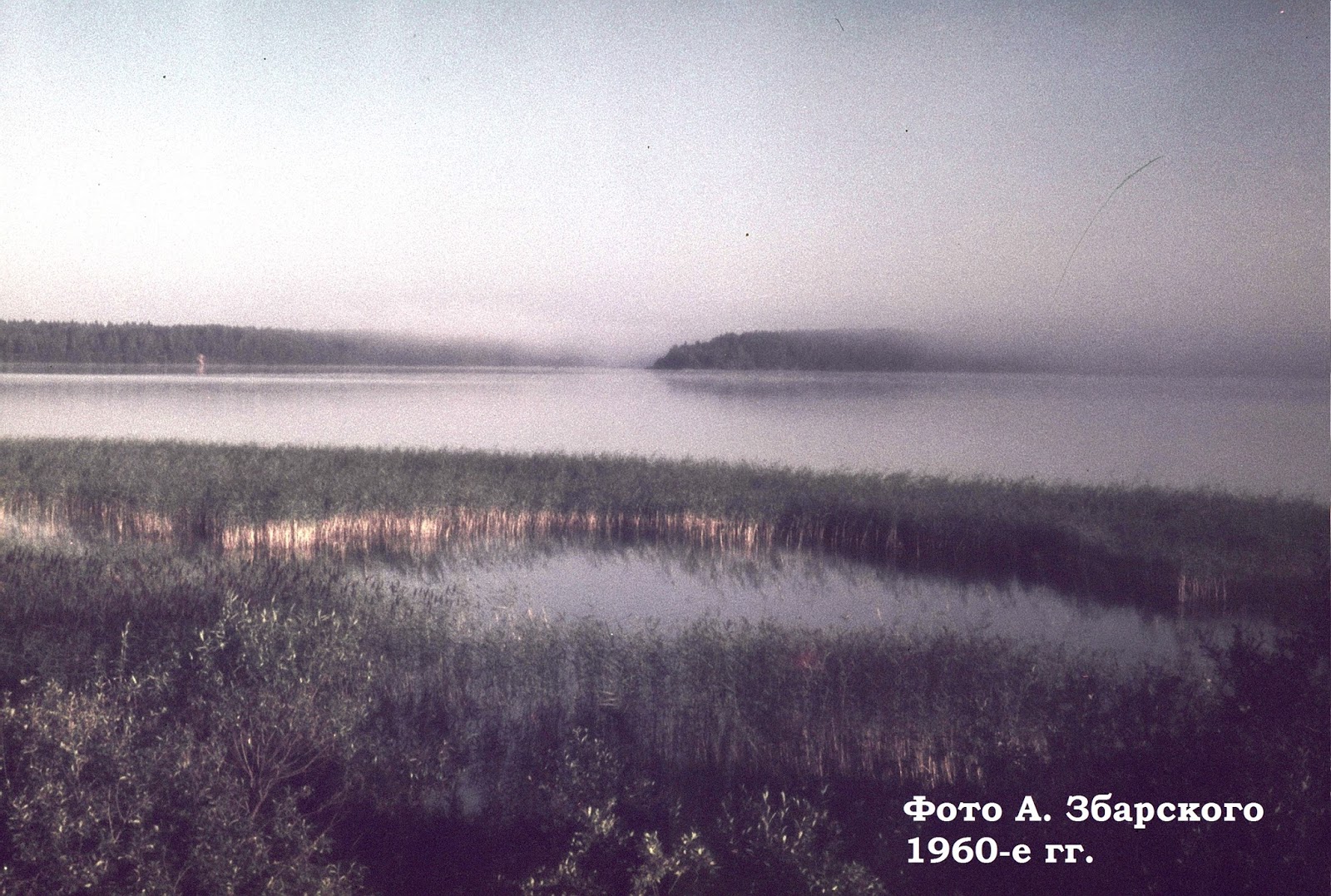 Туришино озеро Удомля