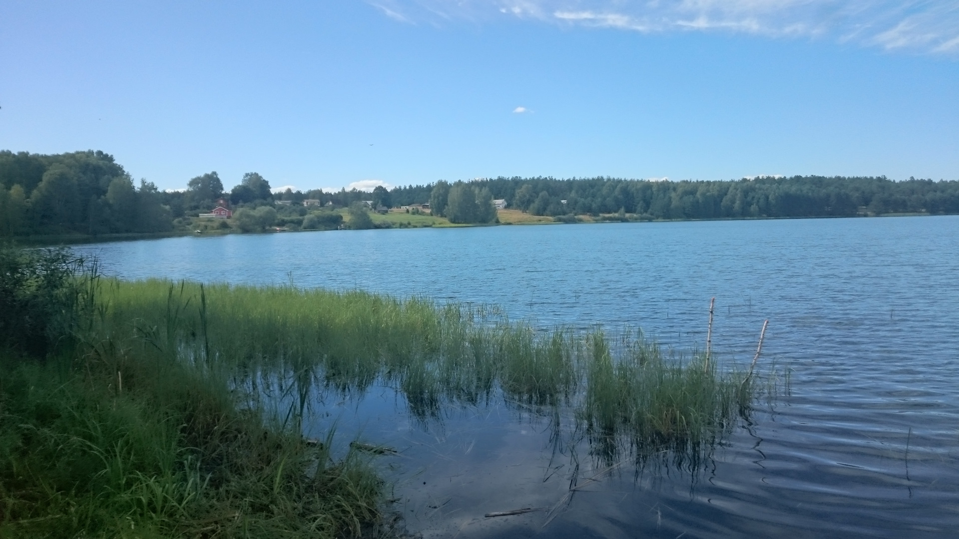 Озеро Гавриловское Рязанская область