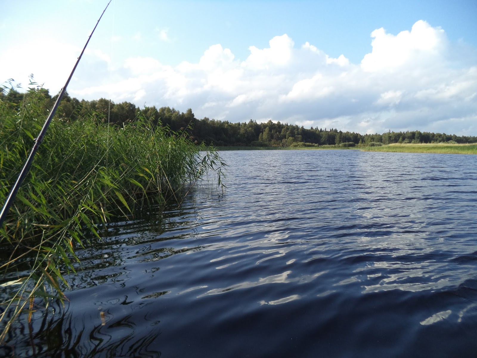 Озеро Воже Вологодская область рыбалка