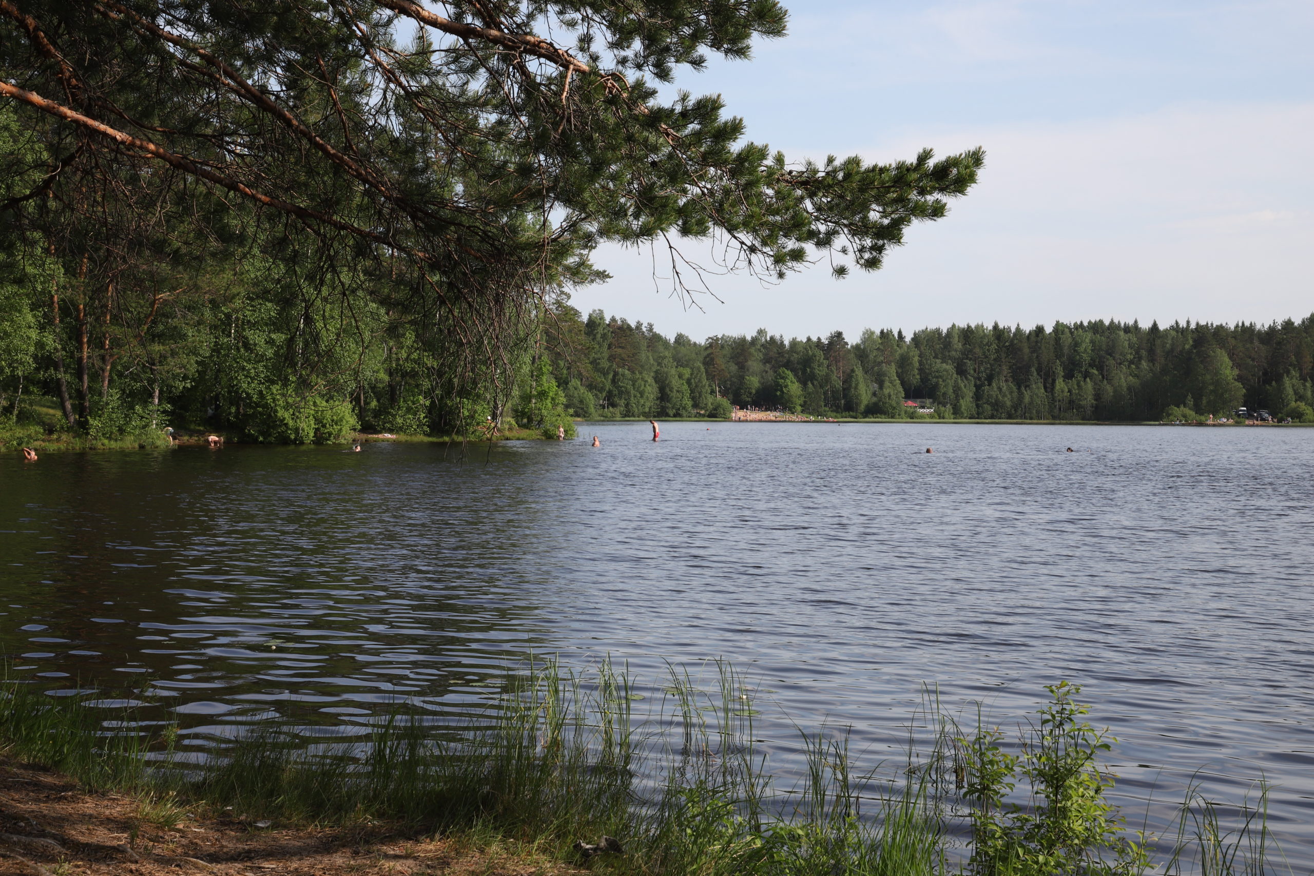 копанское озеро ленинградская область