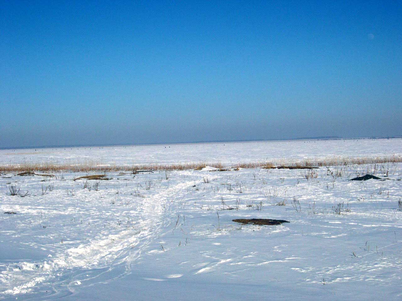 Алабуга озеро в челябинской