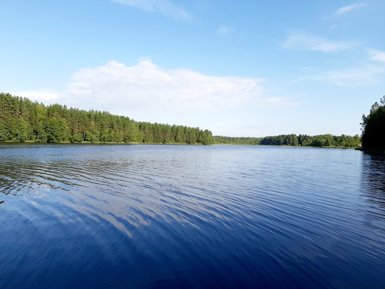 Белое озеро Ленинградская область