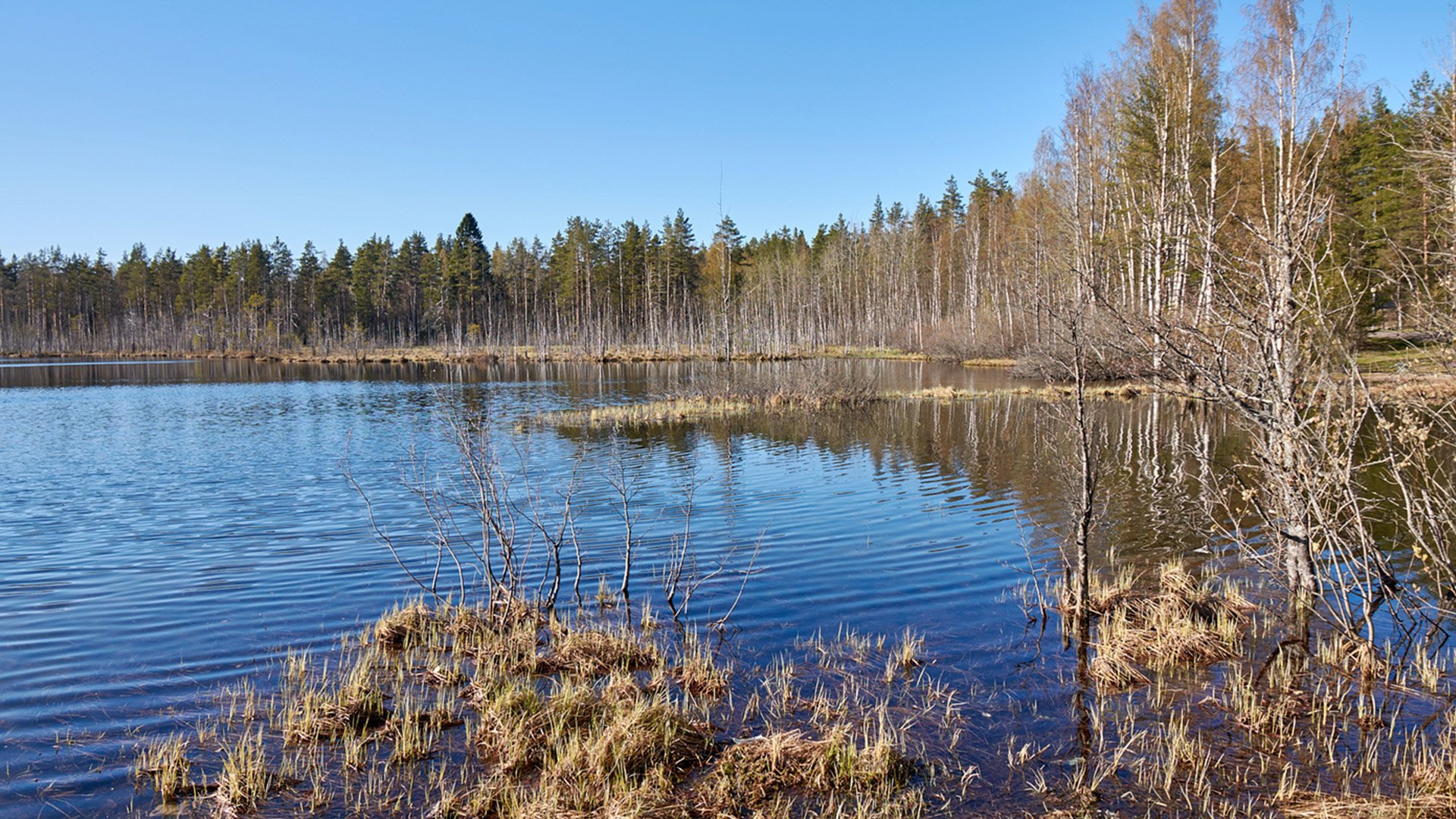 Озеро Щучье Свердловская область