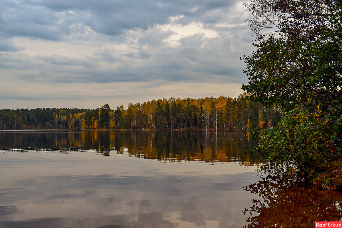 Заказник озеро Щучье Ленинградская область
