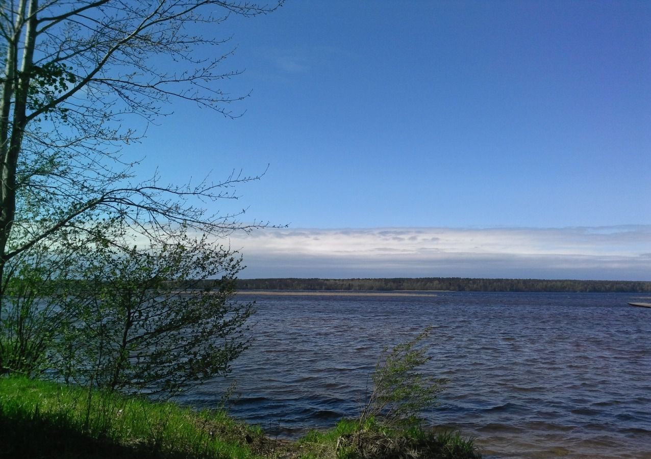 Цвелодубово озеро