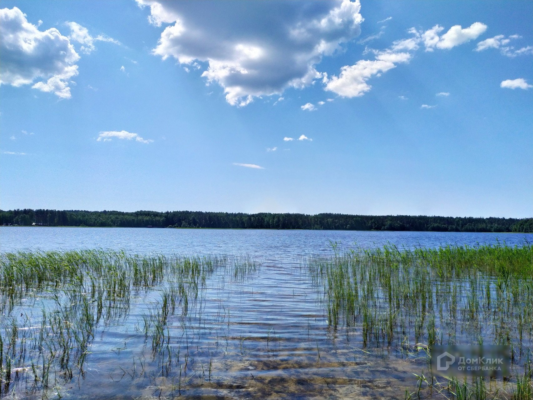 Нахимовское озеро Ленинградская