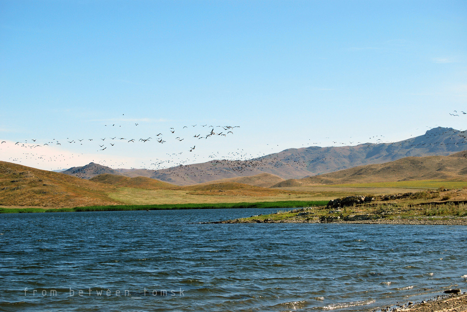 Озеро зайсан в казахстане