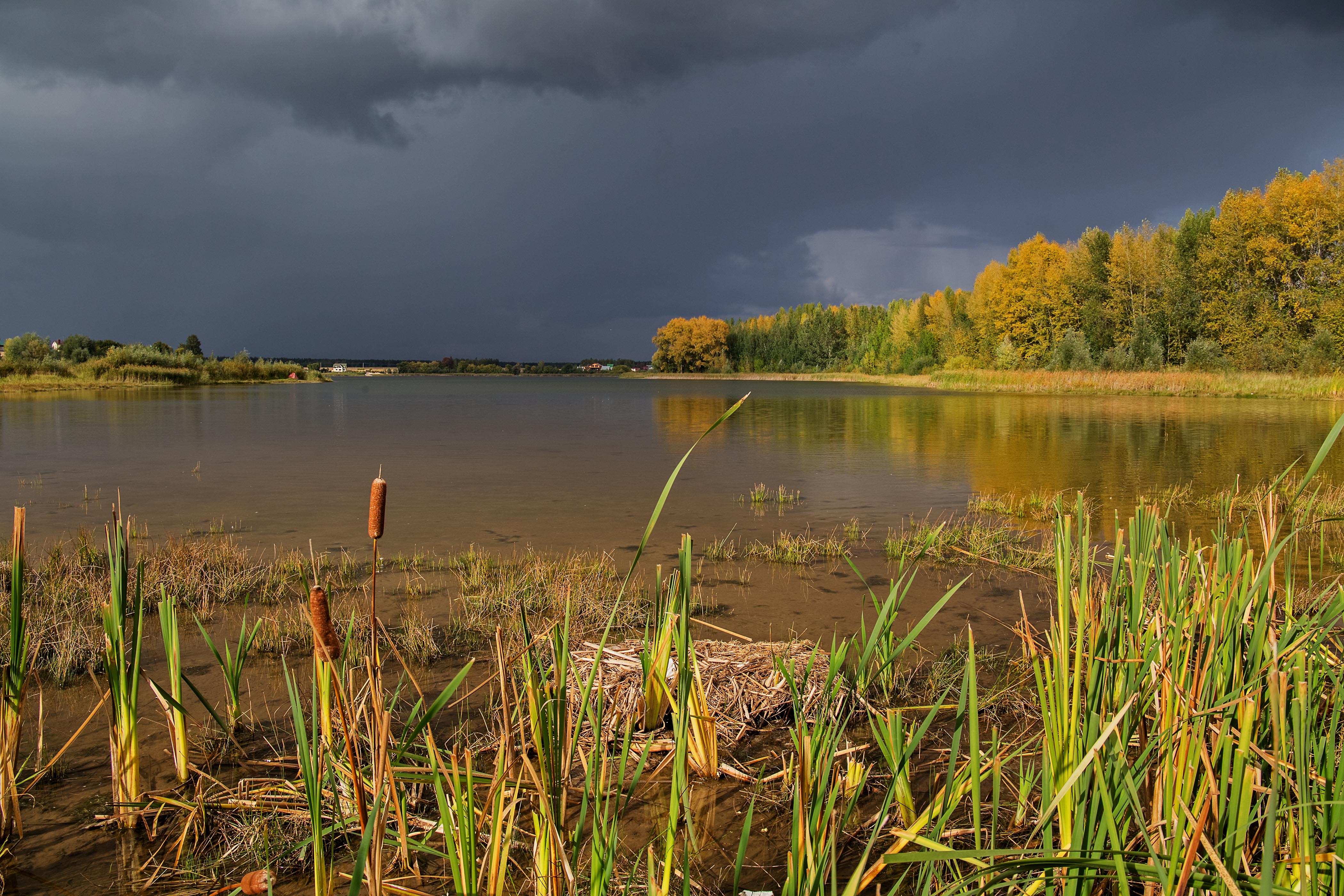 Озеро Ковалинское