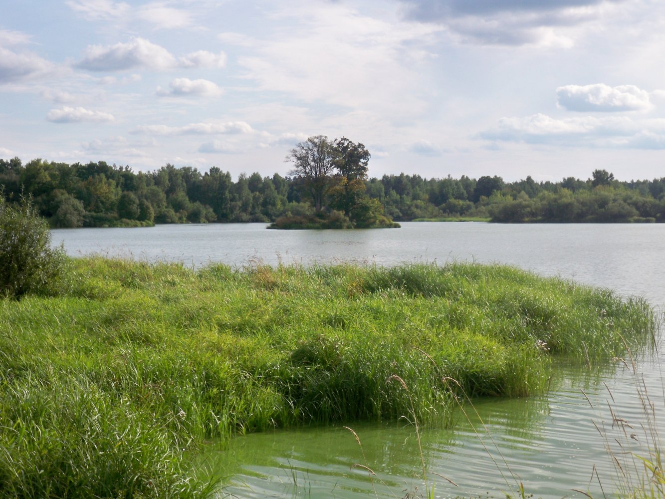 Озеро Старица Владимирская область