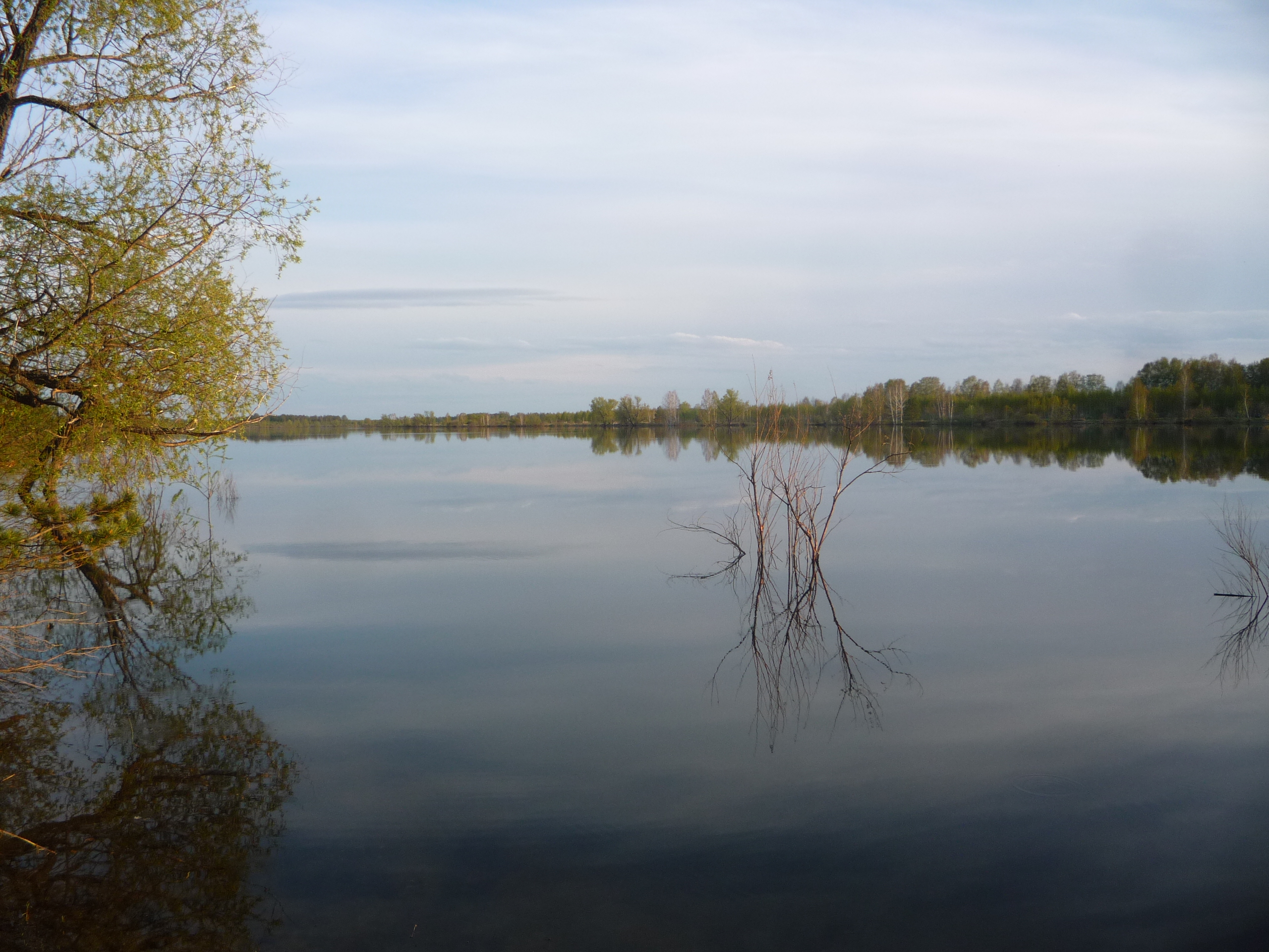 Природа озеро ИК Омская область