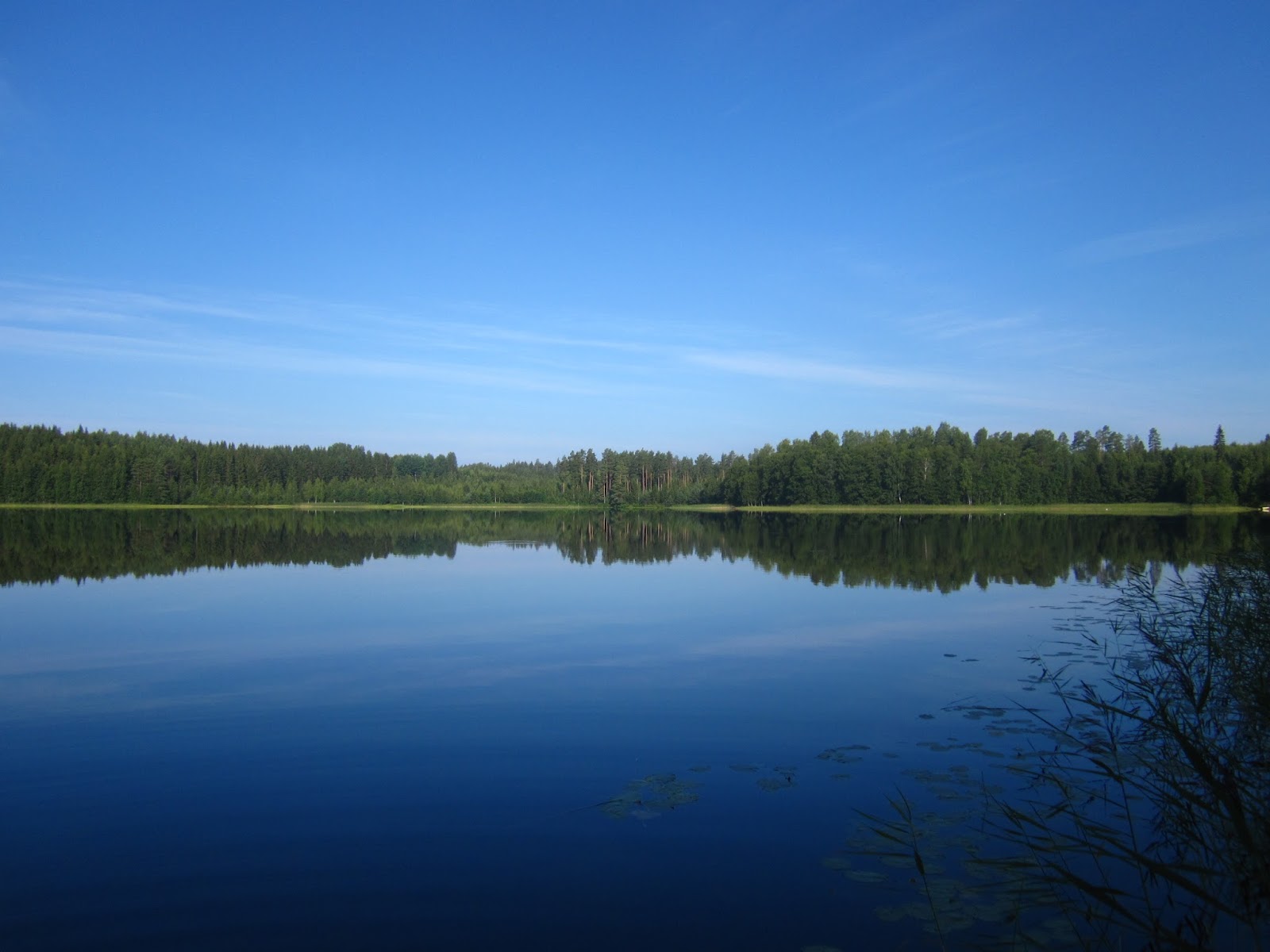 Озеро Линево Муромцевский район