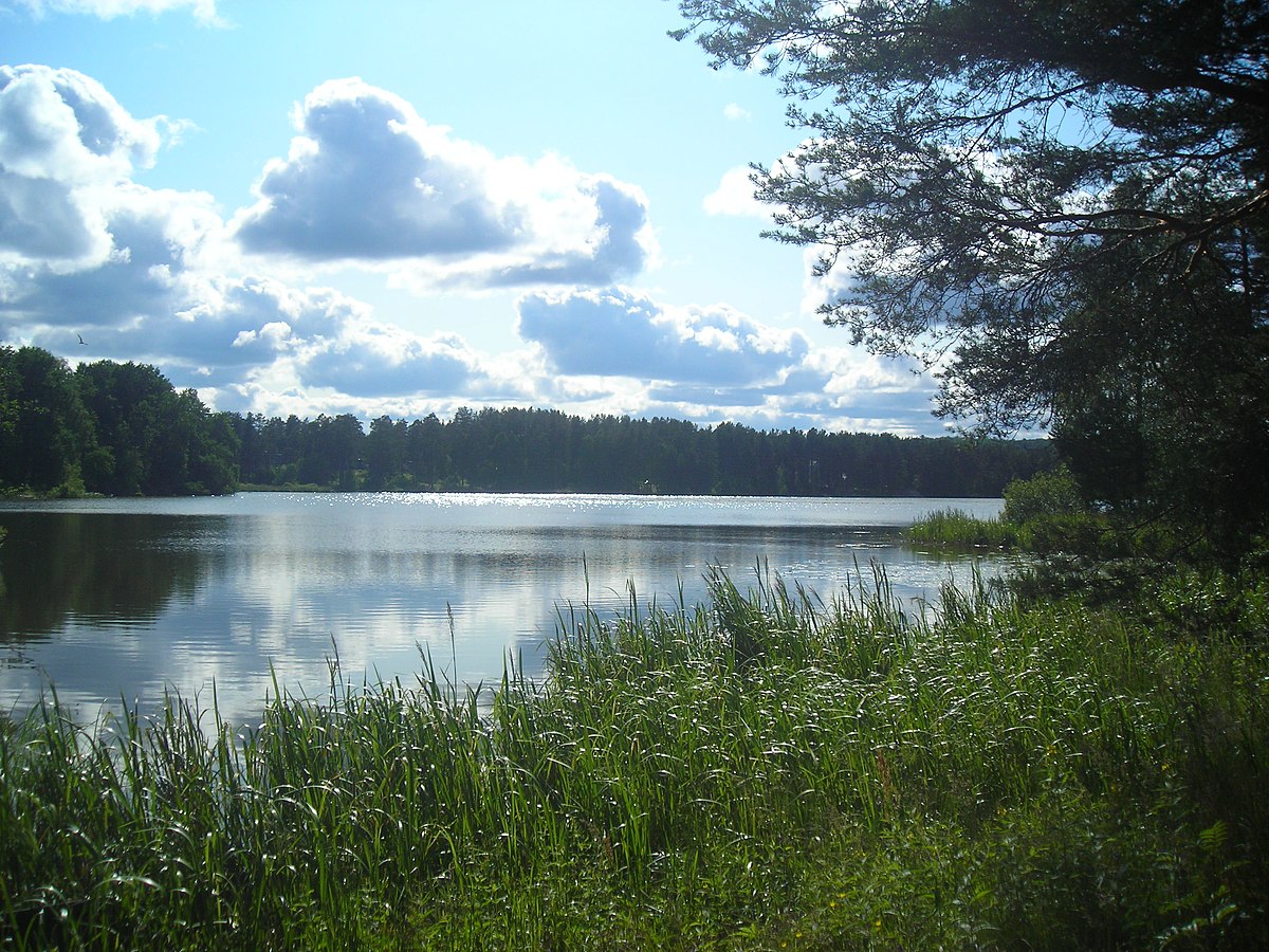 Рощинское озеро Ленинградская область