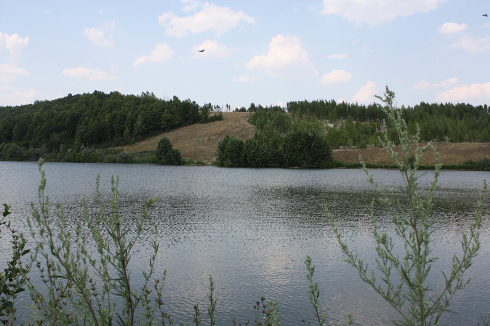 Лесное озеро мордовия