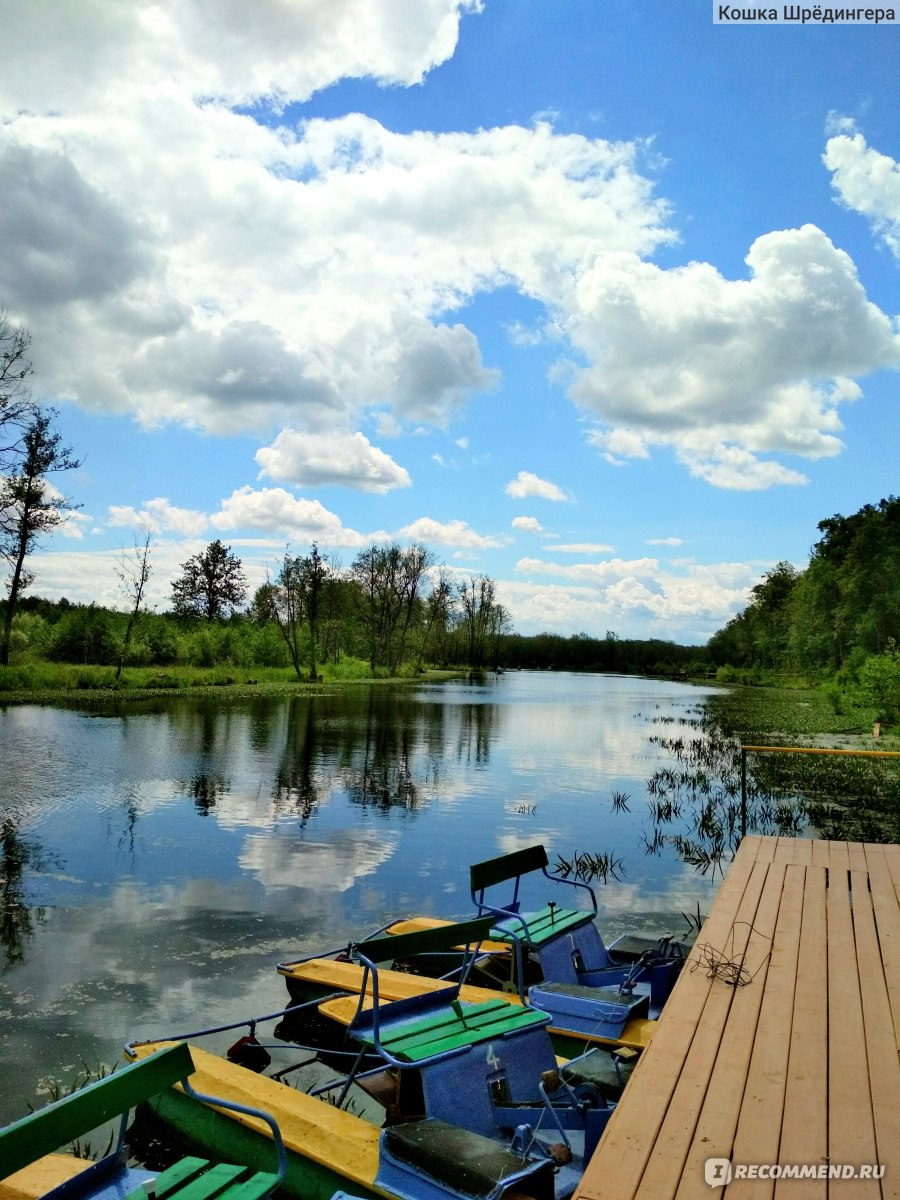 Турбаза Лесное озеро Мордовия