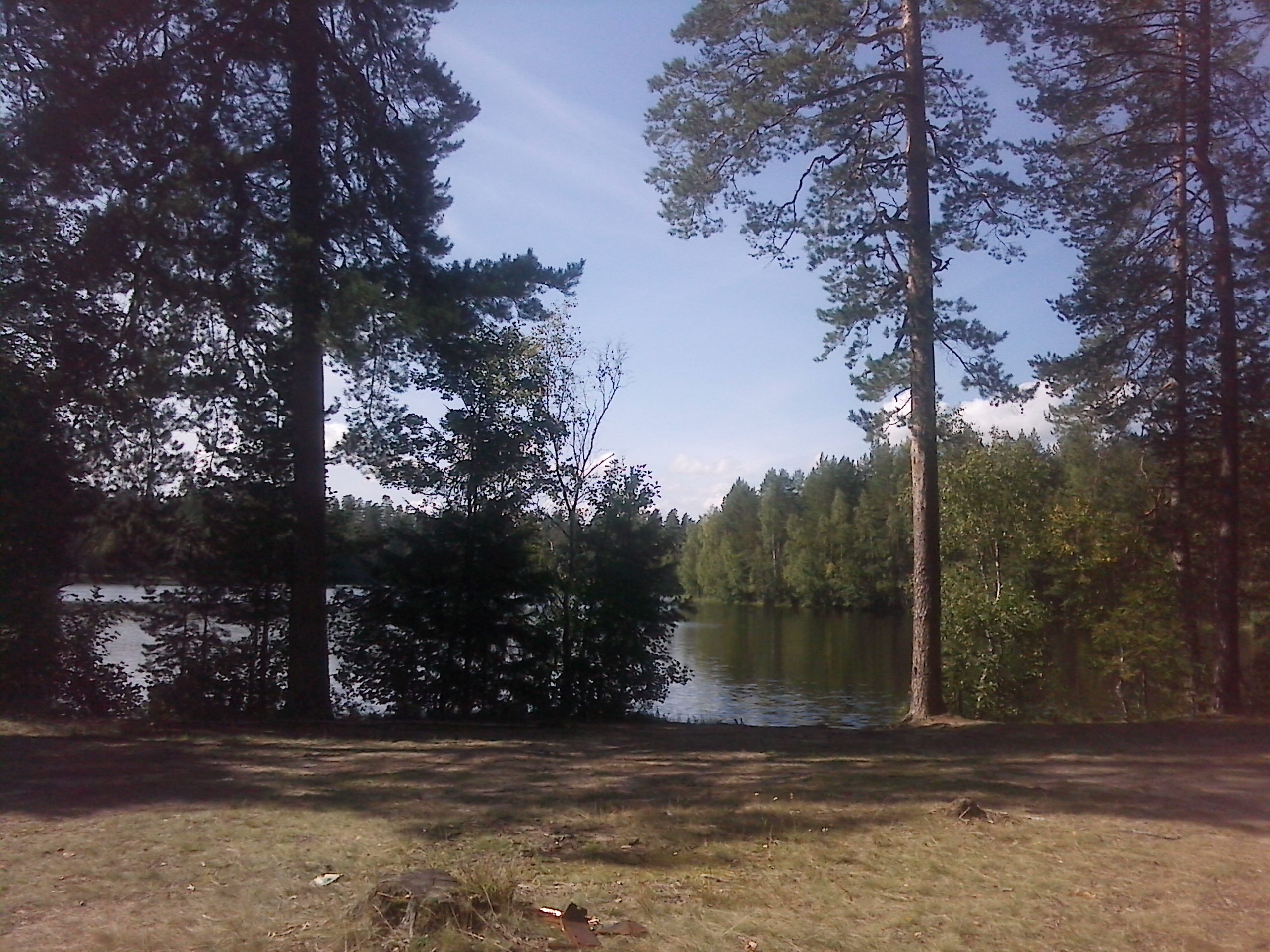 Малое Луговое озеро Ленинградская область