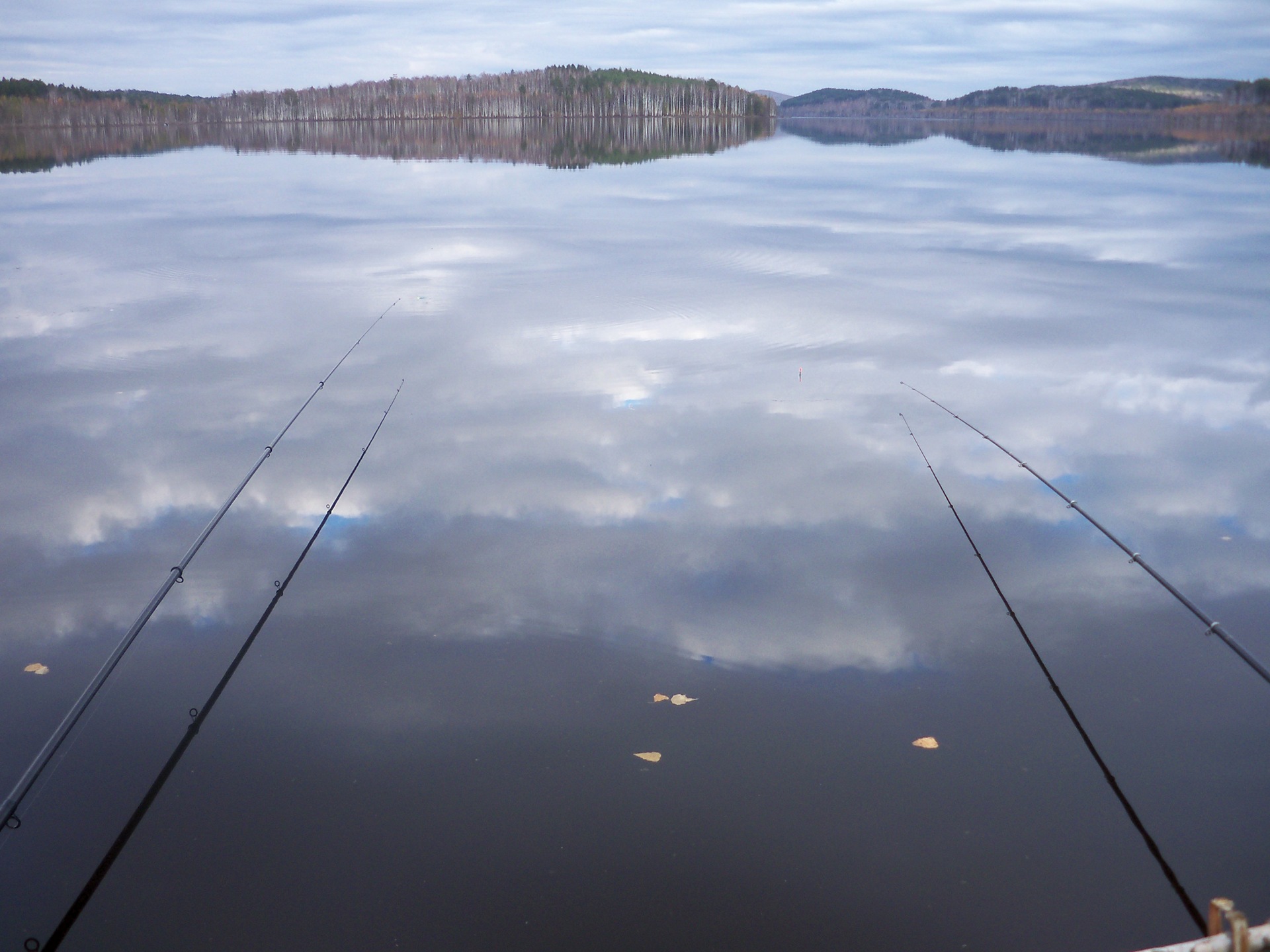 Озеро Тростенское рыбалка