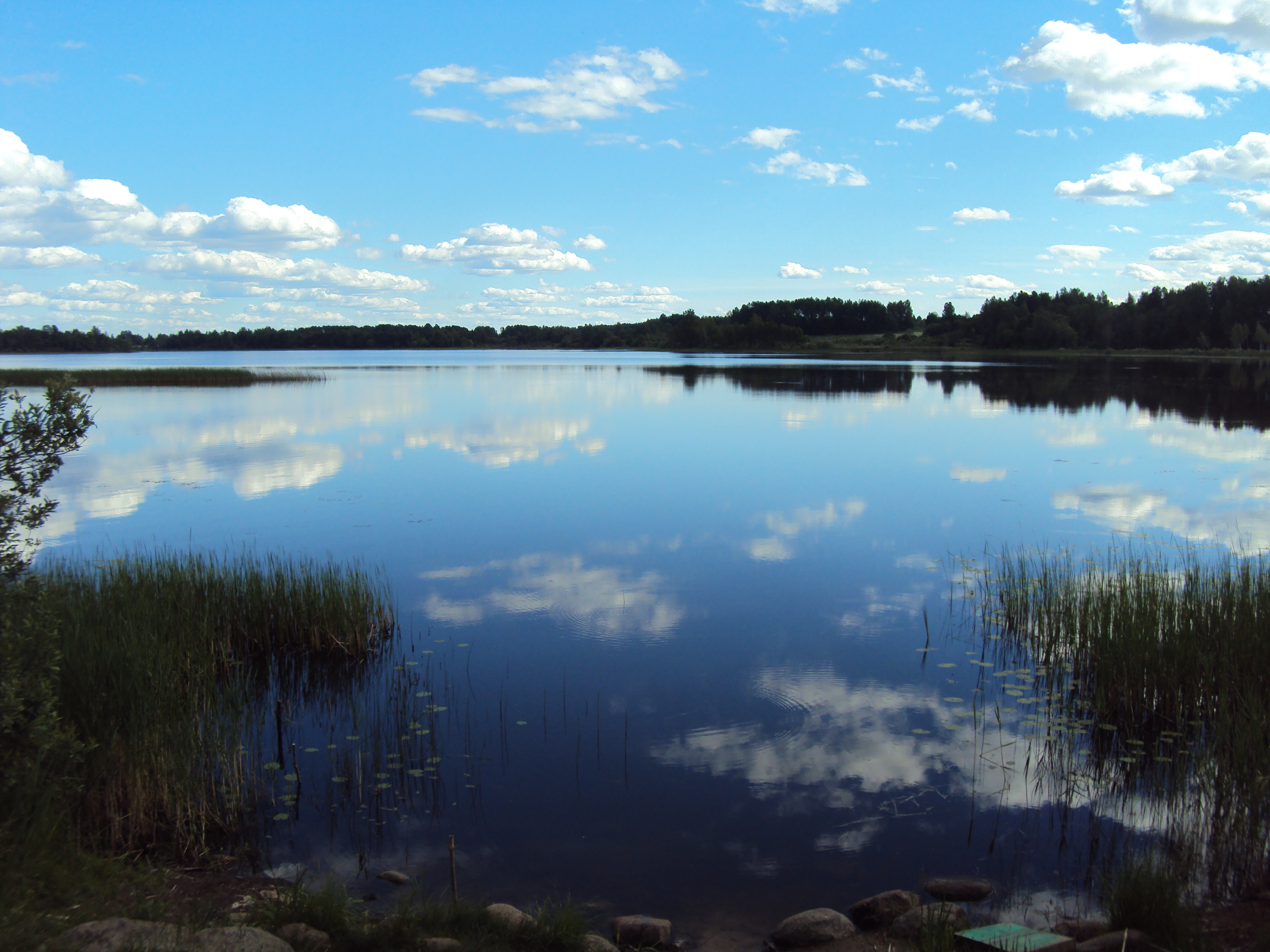 жижицкое озеро псковской области