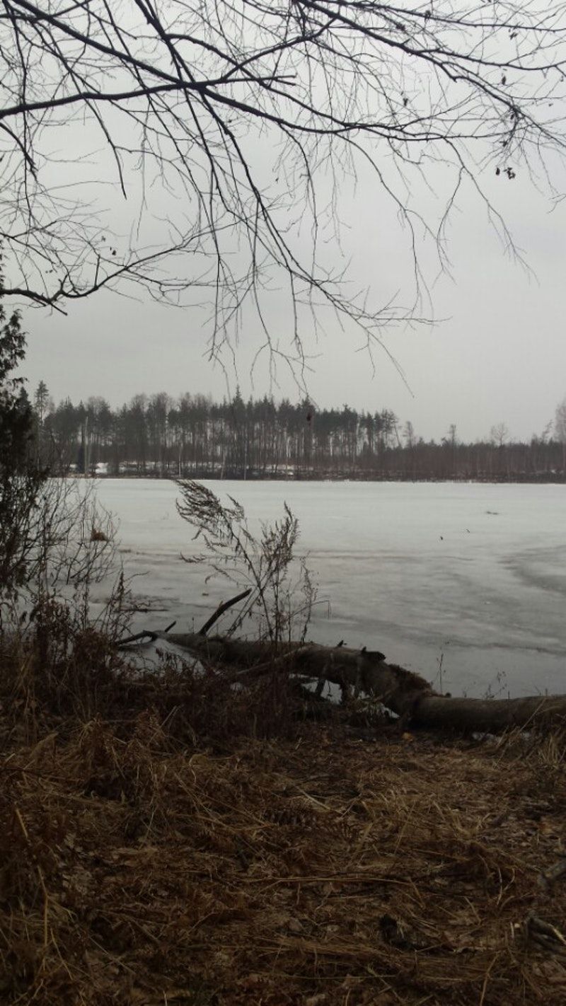 Озеро Смердячее Московская область