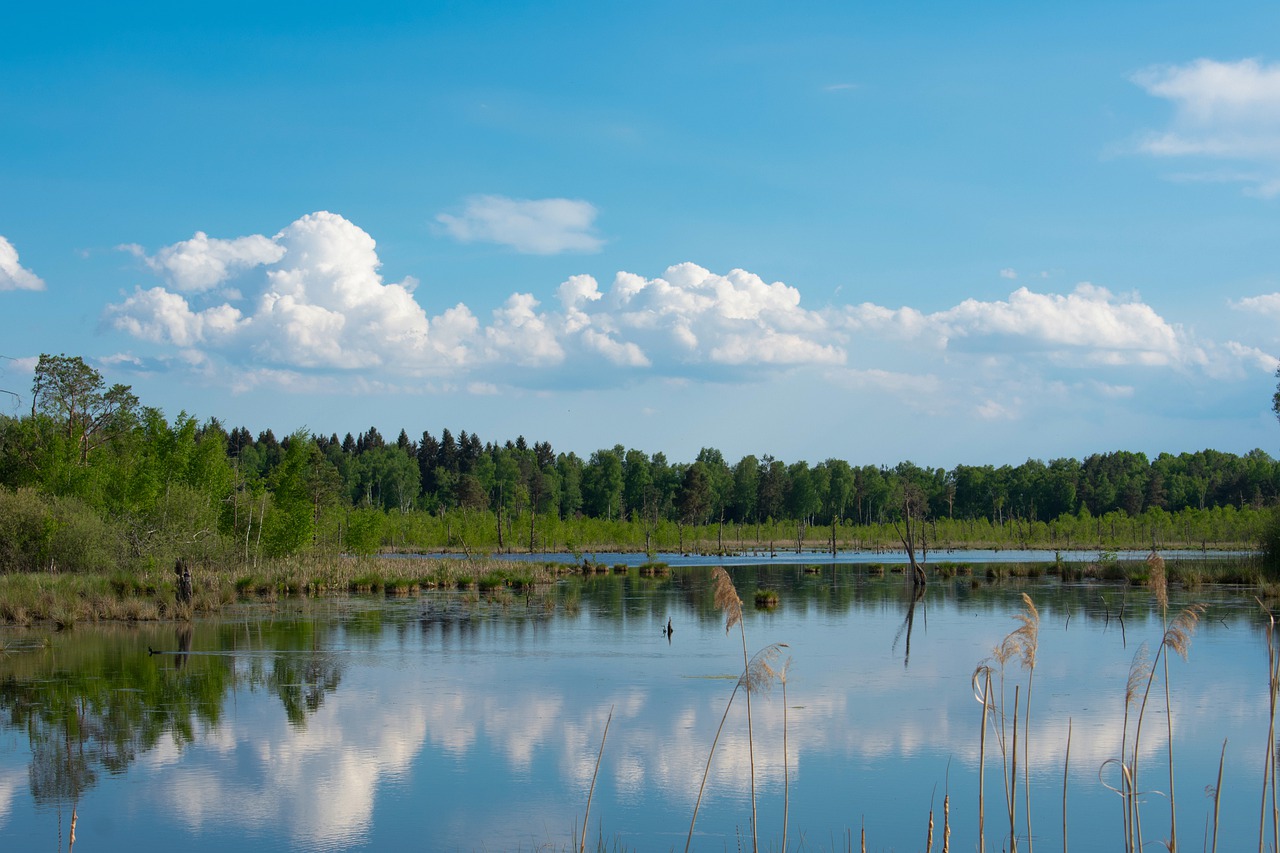 Озеро зеркальное Ленинградская область
