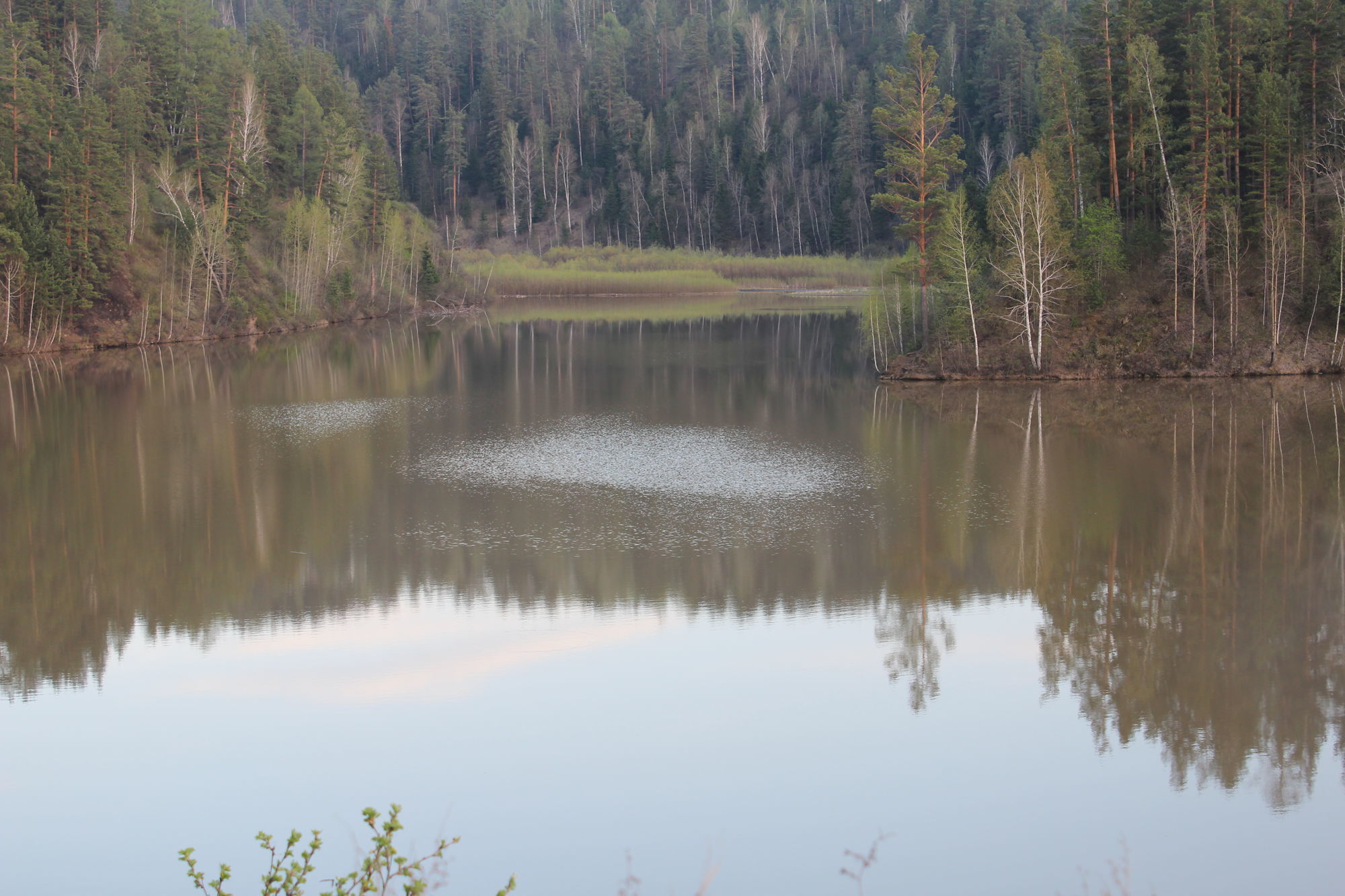Озеро в подгорном красноярск